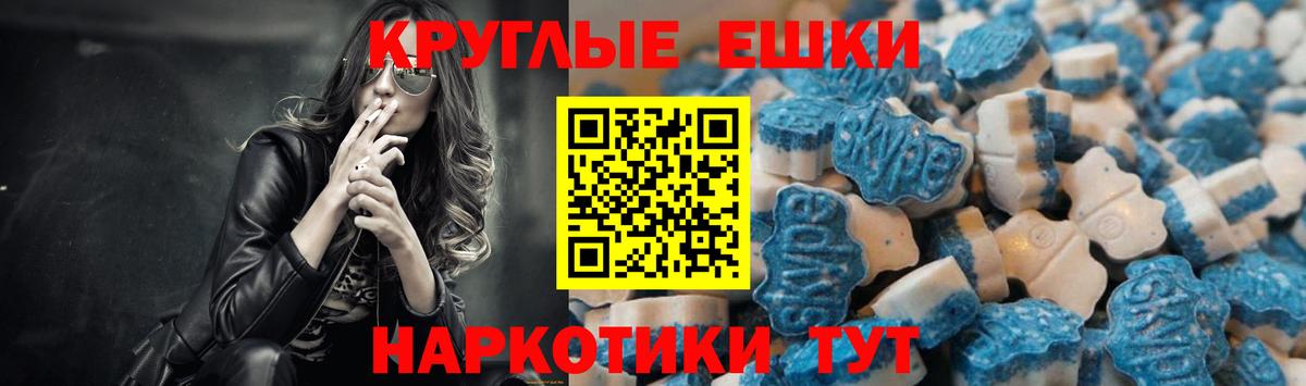 Ecstasy Philipp Plein Губаха