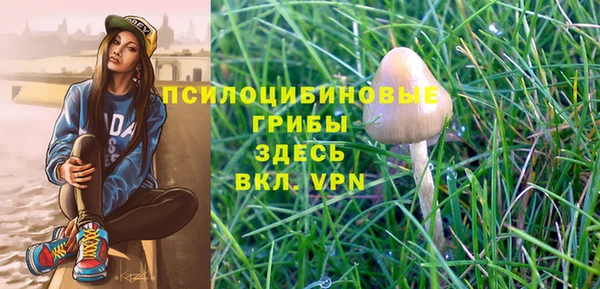 твердый Балабаново