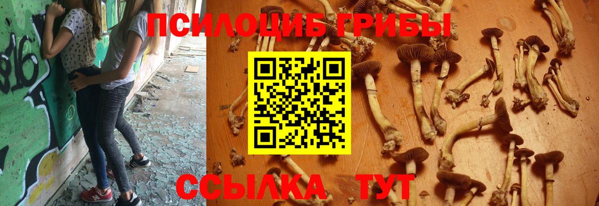 Псилоцибиновые грибы ЛСД Губаха